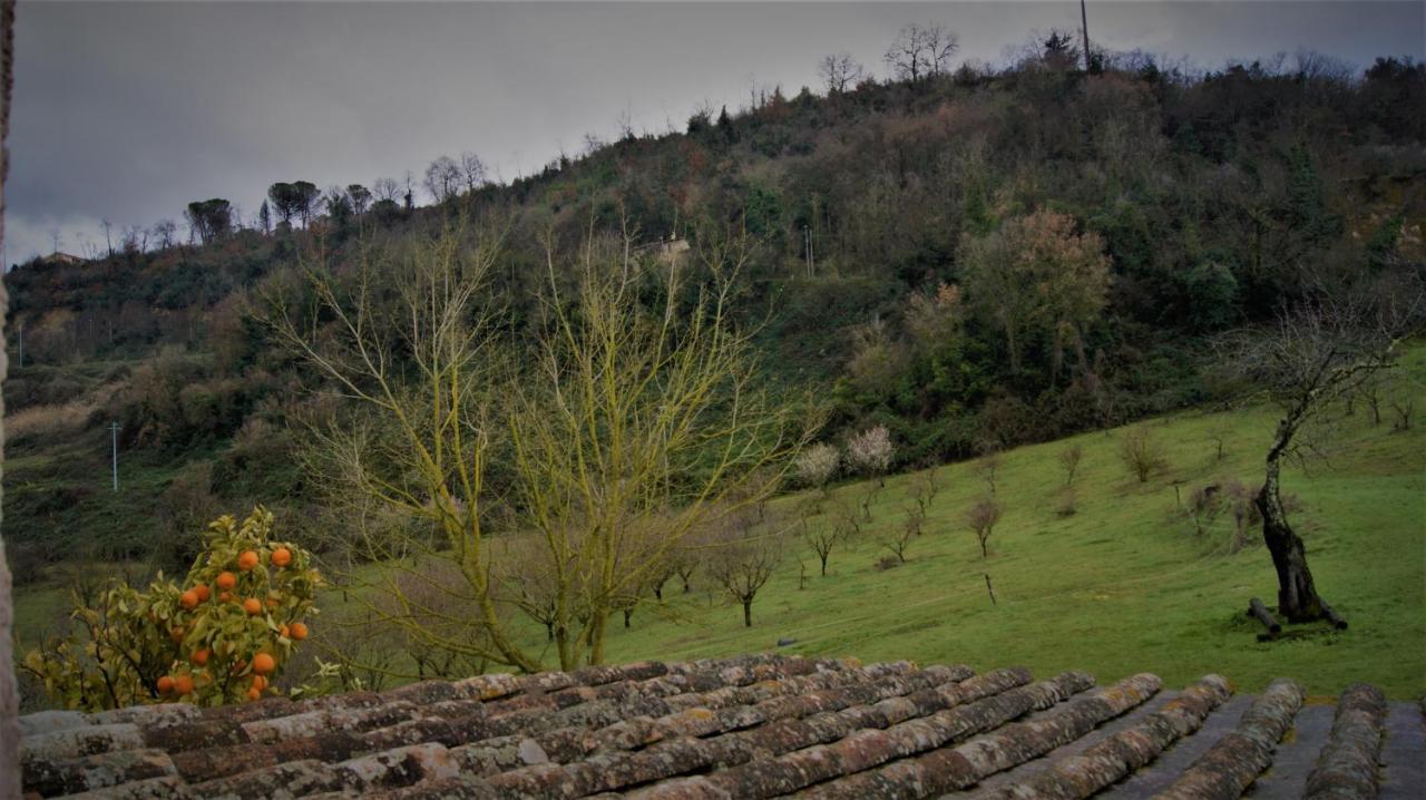Agriturismo Monterone Ponzano Romano Exterior photo